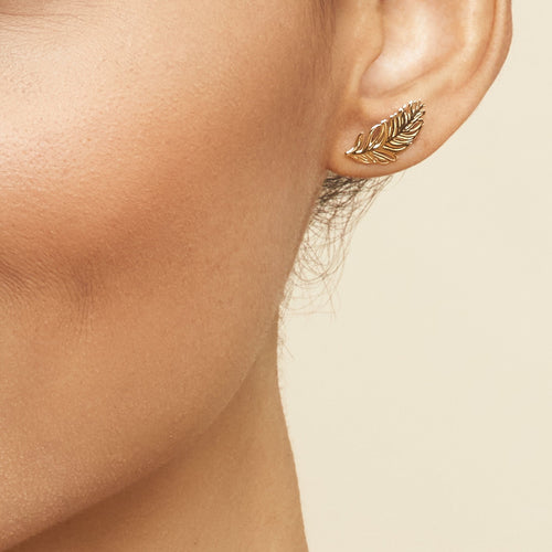 Fine as A Feather Studs-10k Solid Gold